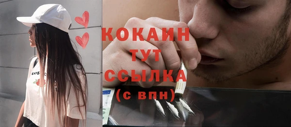 стаф Арсеньев