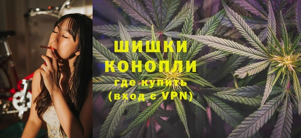стаф Арсеньев