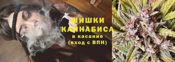стаф Арсеньев