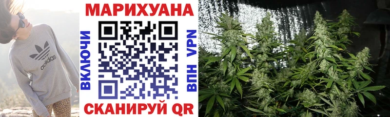 дарнет шоп Сегежа Марихуана семена